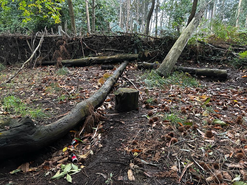 Bosque dos Veciños