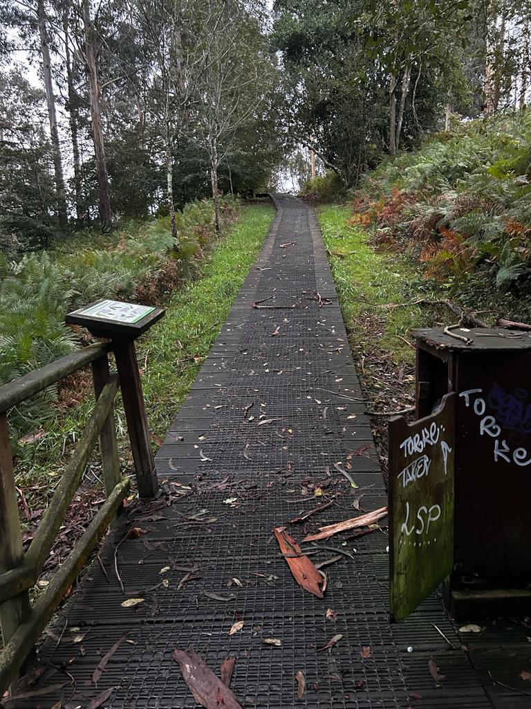 Bosque dos Veciños