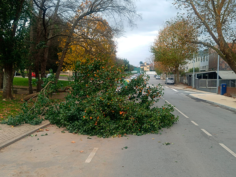 Rua Icaro en la Urbanización Icaria. - Oleiros